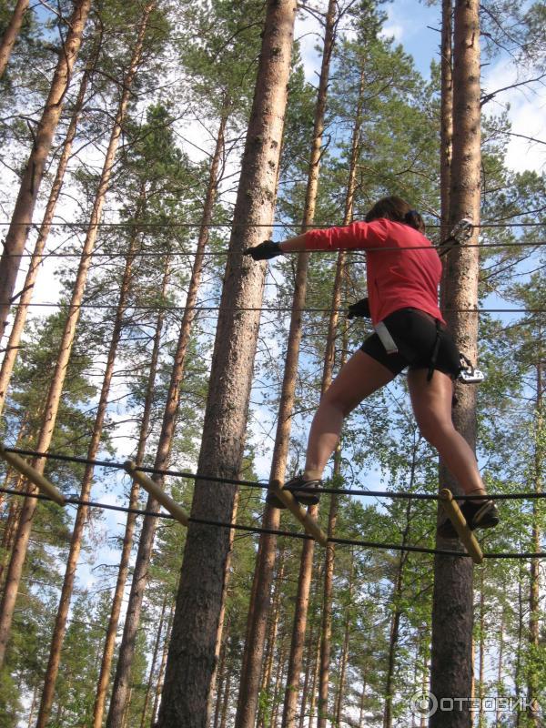 Веревочный парк Норвежский парк Орех (Россия, Ленинградская область) фото