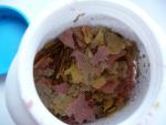 Корм для тропических рыб Fluval Fish Food фото