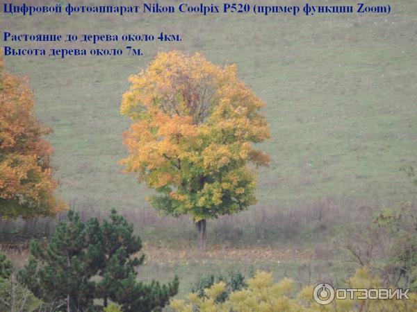 Цифровой фотоаппарат Nikon Coolpix P520 (пример функции Zoom)