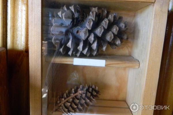 заповедник Тасбулак