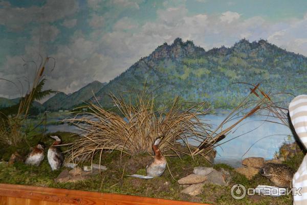 заповедник Тасбулак