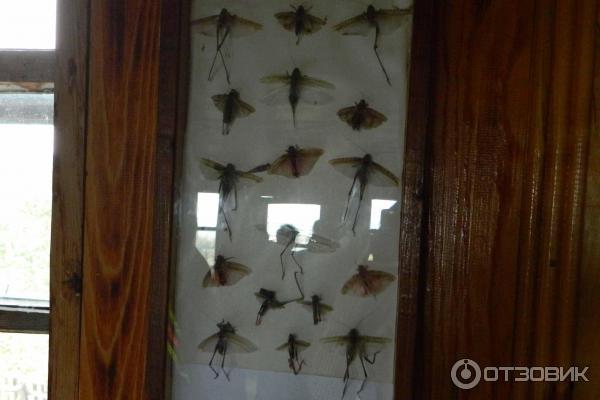заповедник Тасбулак