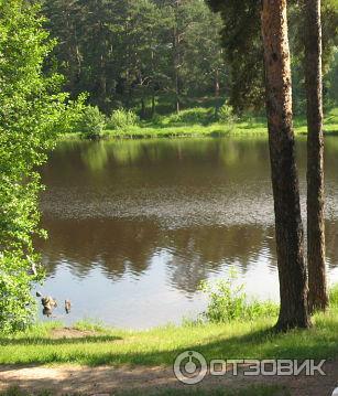 Усадьба Быково (Россия, Московская область) фото