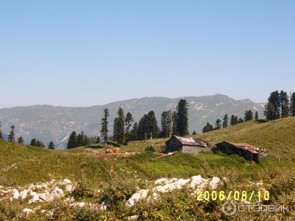 Экскурсия на Альпийские луга (Абхазия, Гудаутский район) фото