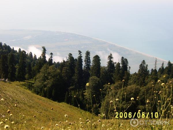 Экскурсия на Альпийские луга (Абхазия, Гудаутский район) фото