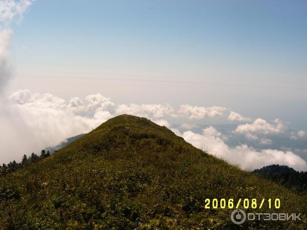 Экскурсия на Альпийские луга (Абхазия, Гудаутский район) фото