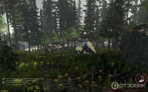 The Forest - игра для PC фото