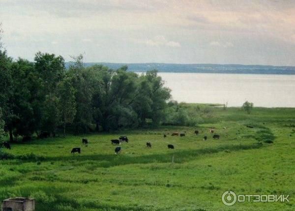 Музей-заповедник Переславль Залесский (Россия, Переславль Залесский) фото