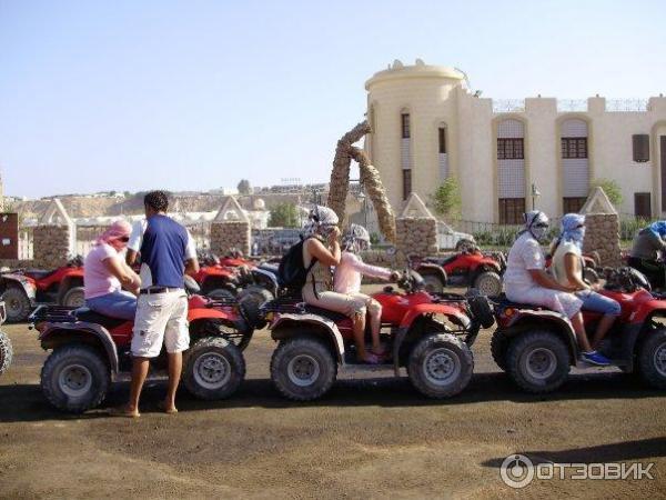 Отель Albatros Aqua Blu Sharm 4* (Египет, Шарм-эль-Шейх) фото