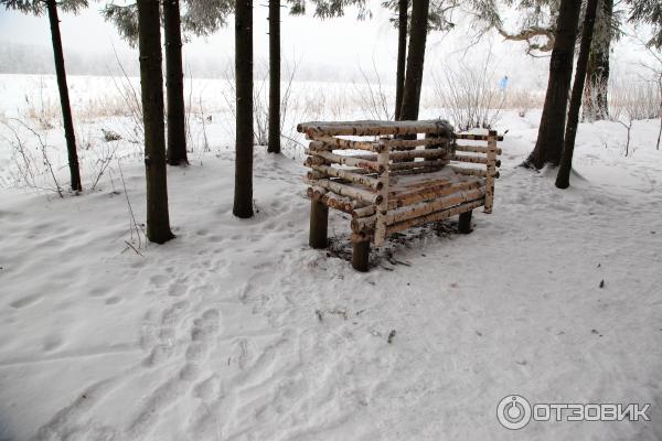 Ясная Поляна (Россия, Тульская область) фото