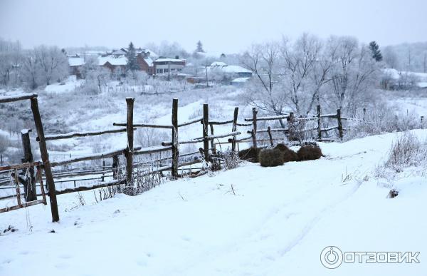 Ясная Поляна (Россия, Тульская область) фото