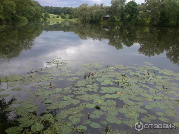 Ясная Поляна (Россия, Тульская область) фото