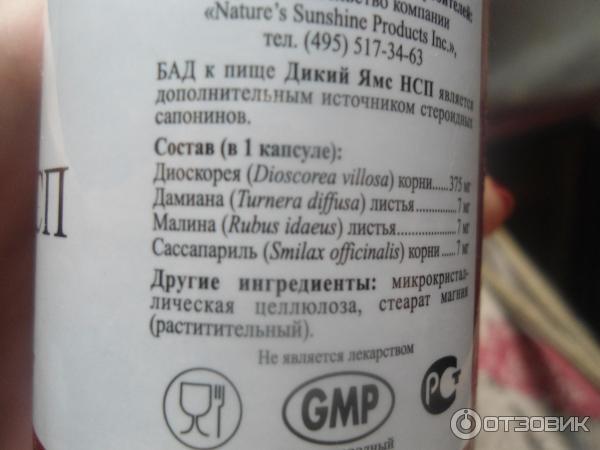 Дикий Ямс Для Женщин Нсп Купить