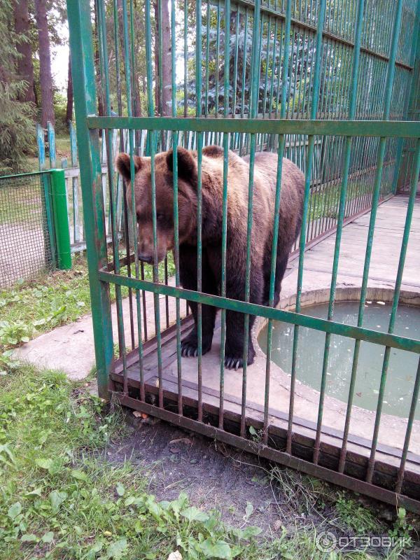 Национальный парк Орловское полесье (Россия, Орел) фото