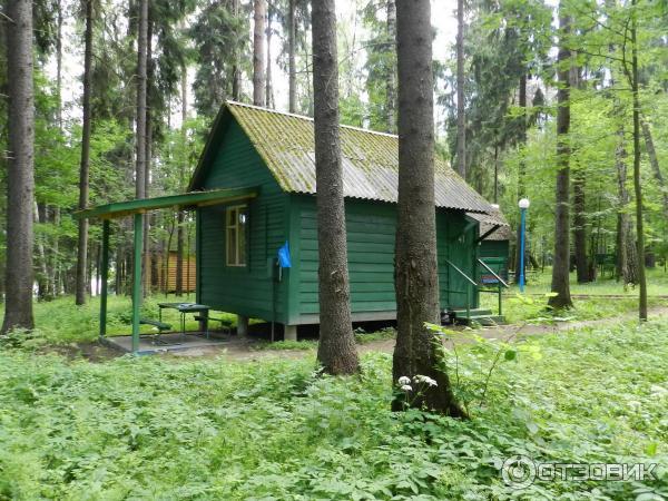 База отдыха Нептун (Россия, Московская область) фото