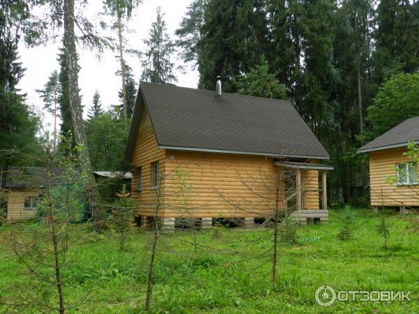 База отдыха Нептун (Россия, Московская область) фото