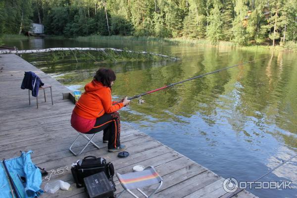 База отдыха Нептун (Россия, Московская область) фото