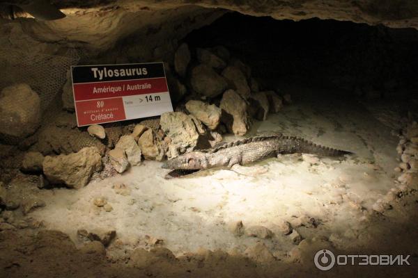 Экскурсия в пещеру Les Grottes Petrifiantes de Savonnieres Villandry (Франция, Тур)