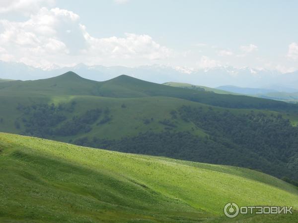 Тебердинский заповедник (Россия, Карачаево-Черкессия) фото