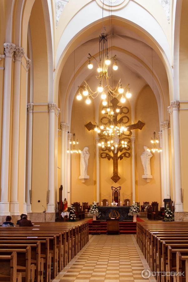 Immaculate conception cathedral