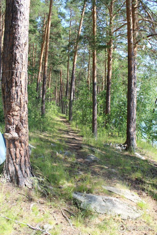 Экскурсия на оз. Тургояк (Россия, Челябинская область) фото