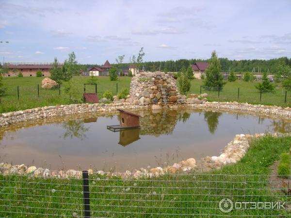 Парк птиц Воробьи (Россия, Калужская область) фото