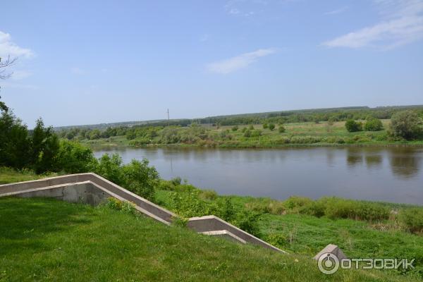 Дон новоживотинное. Новоживотинное Воронеж. Новоживотинное Дон.