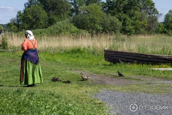 Экскурсия на о. Кижи (Россия, Карелия) фото