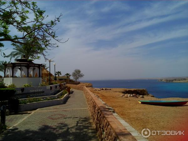 Отель Beach Albatros Sharm 4* (Египет, Шарм-эль-Шейх) фото