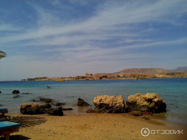 Отель Beach Albatros Sharm 4* (Египет, Шарм-эль-Шейх) фото