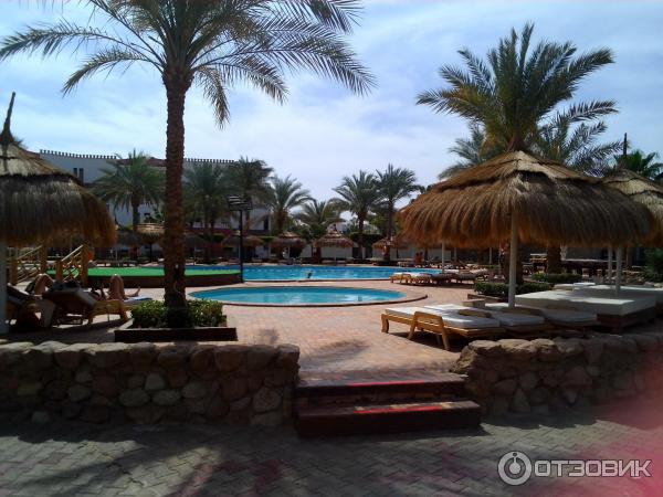 Отель Beach Albatros Sharm 4* (Египет, Шарм-эль-Шейх) фото