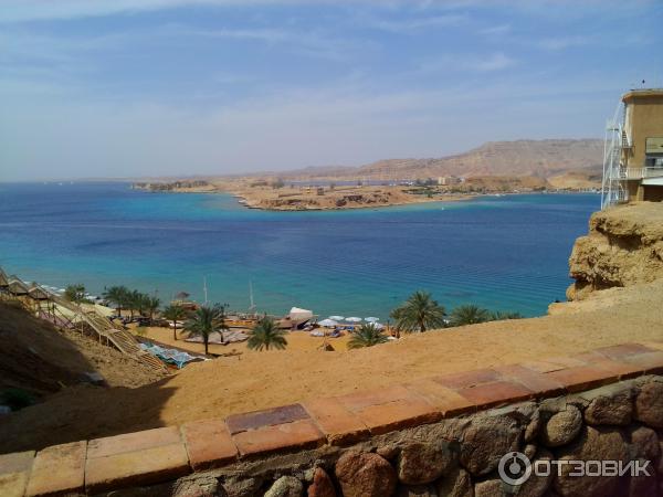 Отель Beach Albatros Sharm 4* (Египет, Шарм-эль-Шейх) фото