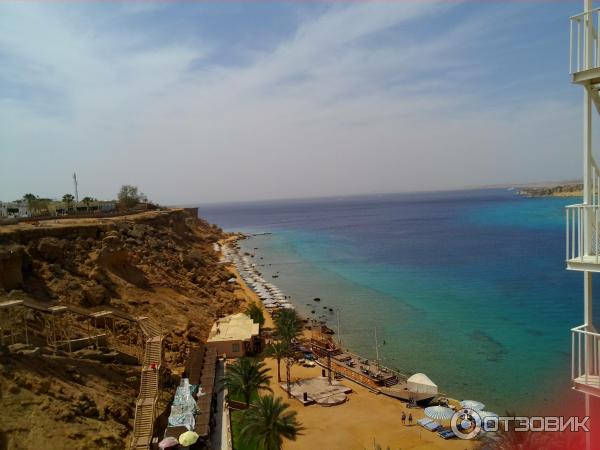 Отель Beach Albatros Sharm 4* (Египет, Шарм-эль-Шейх) фото