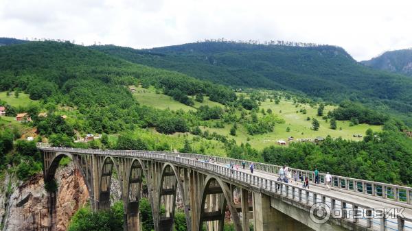 Экскурсия Каньоны (Черногория) фото