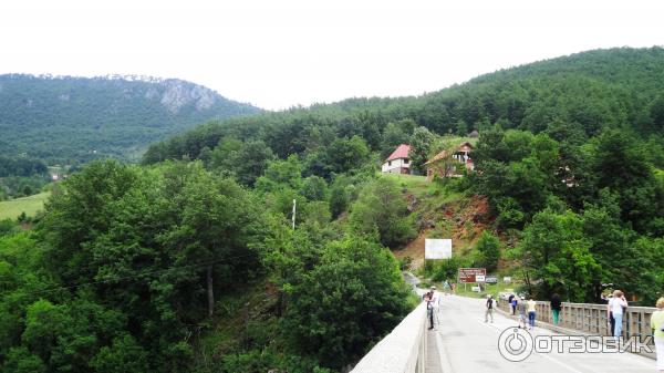 Экскурсия Каньоны (Черногория) фото