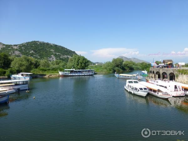 Скадарское озеро (Черногория) фото