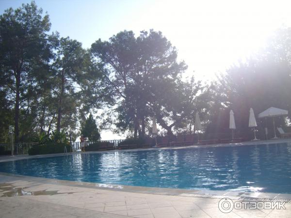 Отель Alara Star 5* (Турция, Алания) фото