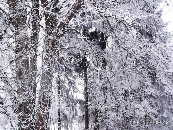 Белоруссия фото