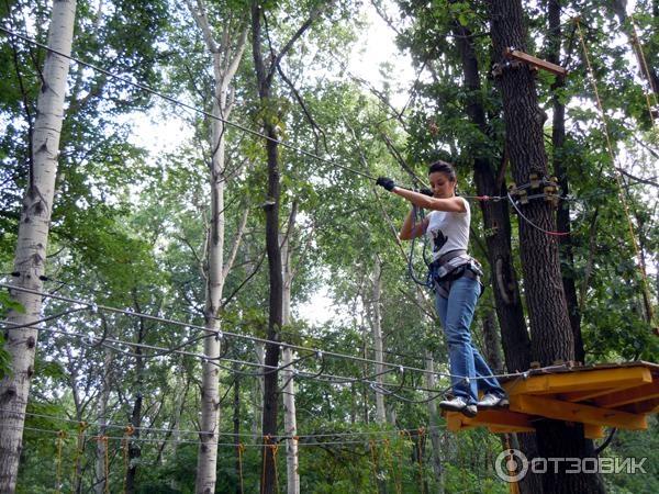 Таксопарк адреналин. Парк приключений адреналин Ульяновск. Адреналин Ульяновск парк Победы. Адреналин парк Ульяновск Московское шоссе. Парк адреналин Ульяновск верхняя терраса.