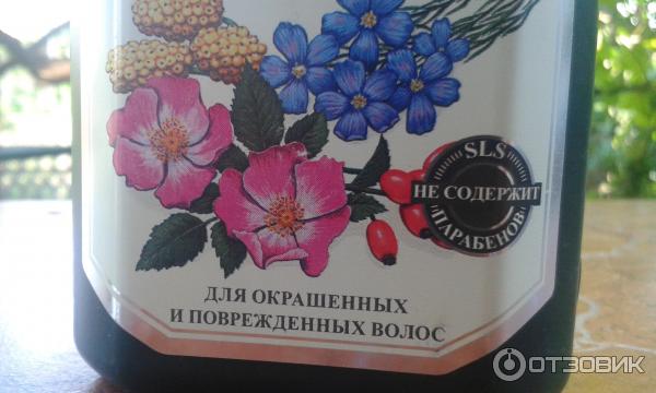 Мягкий шампунь Рецепты бабушки Агафьи Восстановление и защита - для окрашенных и повережденых волос фото