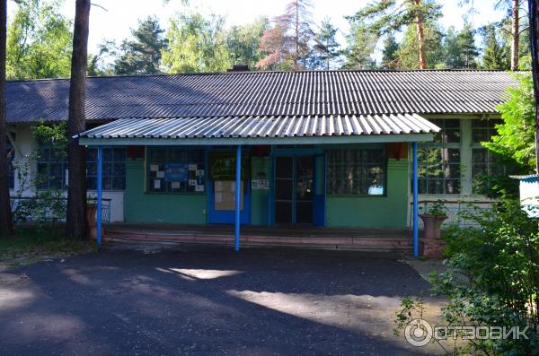 Белый городок лагерь. Лагерь Спутник Самара. Пионерский лагерь Спутник Московская область Крюково. Лагерь Спутник Муром.