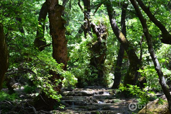 Отдых в Мармарисе (Турция) фото