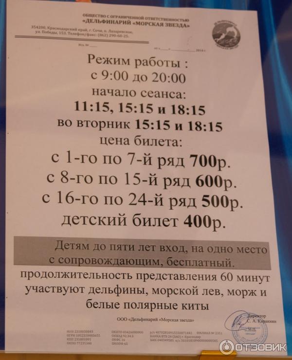 График работы дельфинария сочи. Расписание представлений в дельфинарии. Дельфинарий Лазаревское морская звезда расписание. Расписание дельфинария. Дельфинарий Лазаревское расписание.