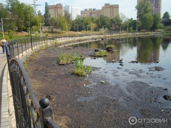 Травинское озеро (Россия, Московская область) фото