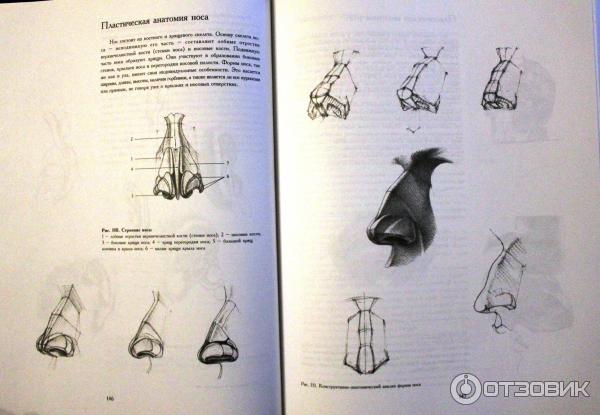 Рисунок. Основы учебного академического рисунка : учебник (Ли, Н. Г.)