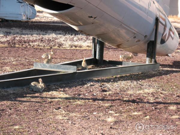 Авиационный музей, Planes of Fame Air Museum (США, Вэлле) фото