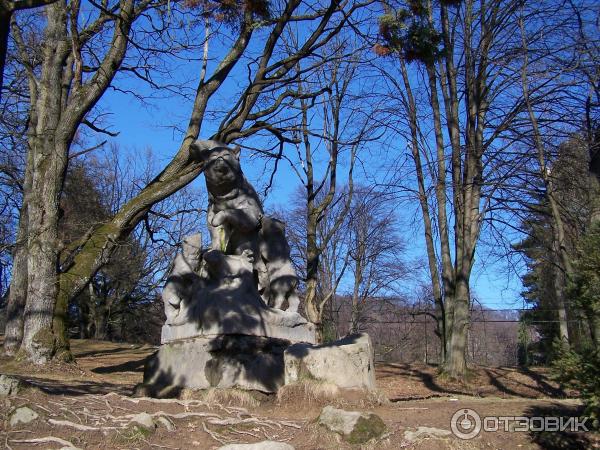 Замок графа Шенборна (Украина, Закарпатская обл.) фото