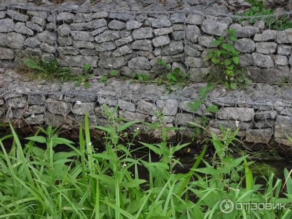 Природный парк Долина реки Сходни фото