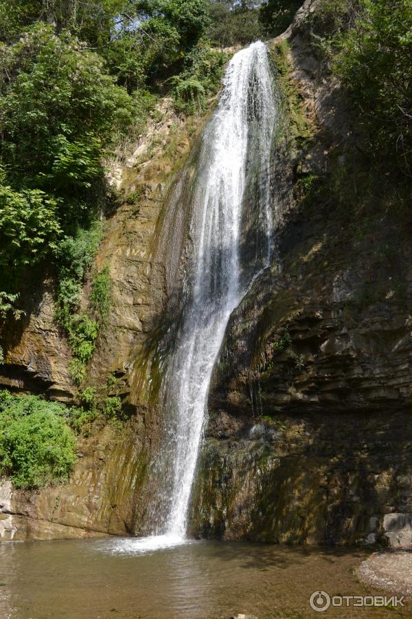 Ботанический сад (Грузия, Тбилиси) фото