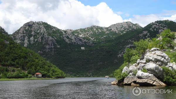 Скадарское озеро (Черногория) фото